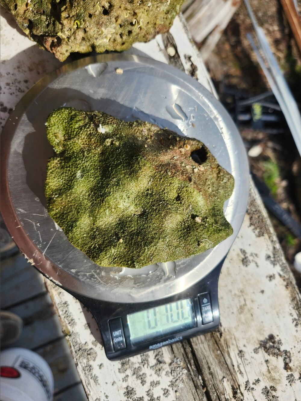 Fiji Dry Base Rock for Saltwater Aquarium Setup Natural Reef Rock Aquascaping